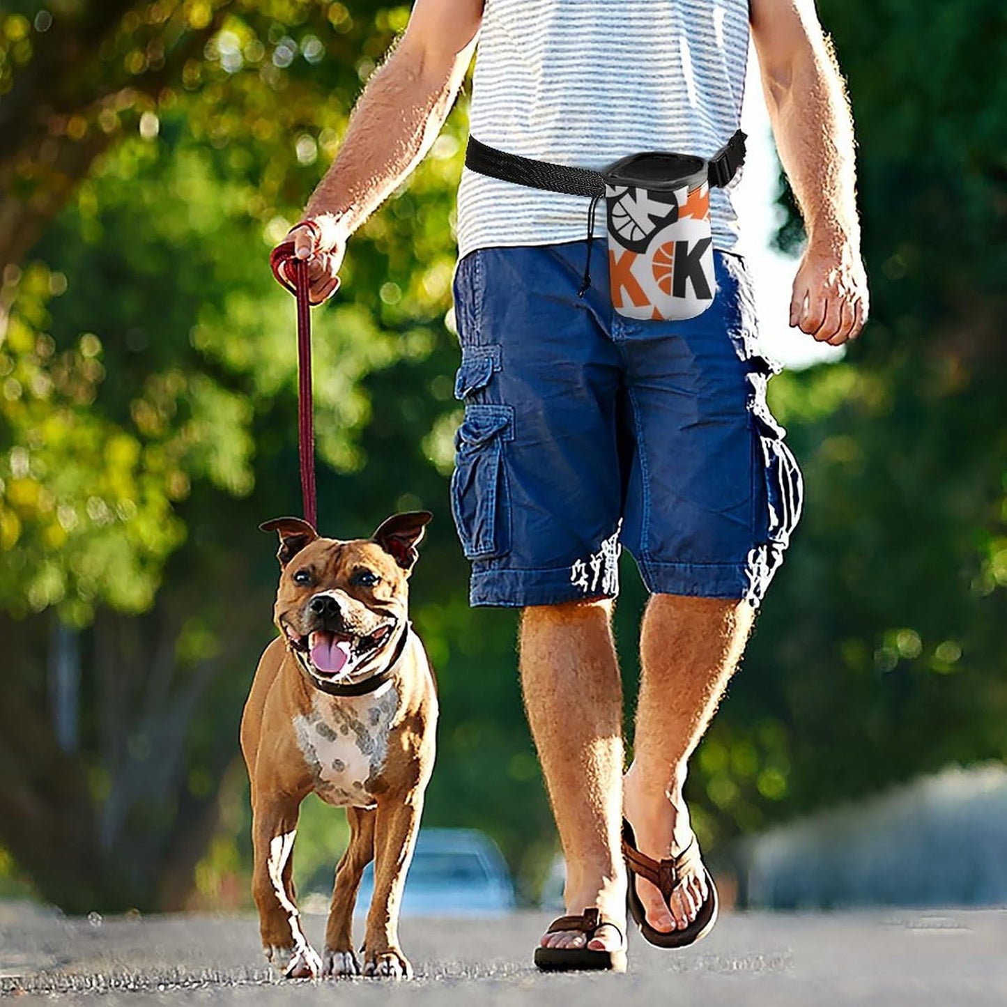 Osbang Dog Treats Pouch Pet Training Bag Dog Walking Bag Carry Kibble Snacks Toys for Dog Training Reward (Man 4.7 * 4 * 5.1 Inches)