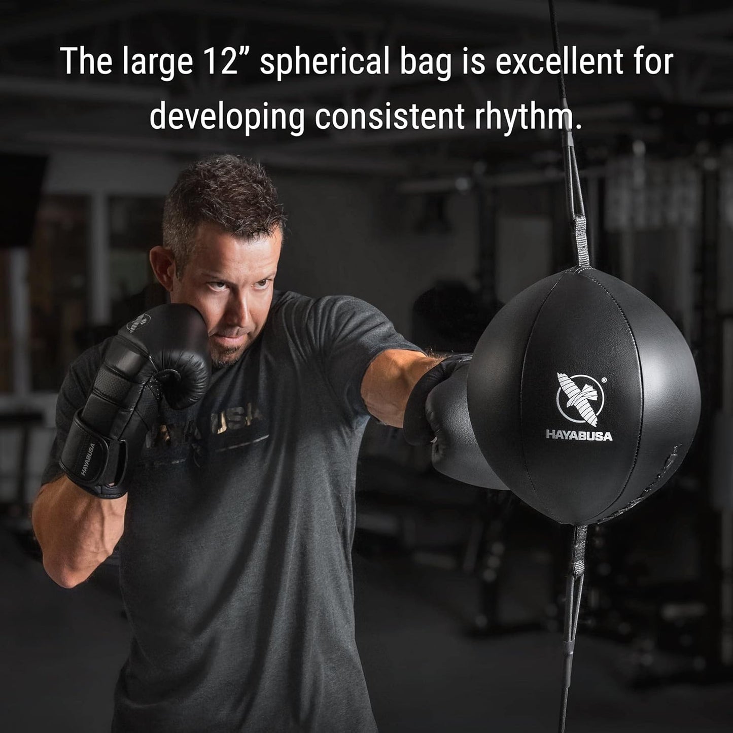 Hayabusa Classic Sphere Double Ended Bag - Black, 12 Inches