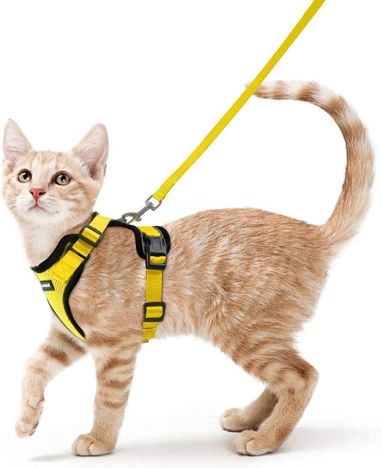 rabbitgoo Cat Harness and Leash for Walking, Escape Proof Soft Adjustable Vest Harnesses for Small Medium Cats, Easy Control Breathable Reflective Strips Jacket, XS, Black