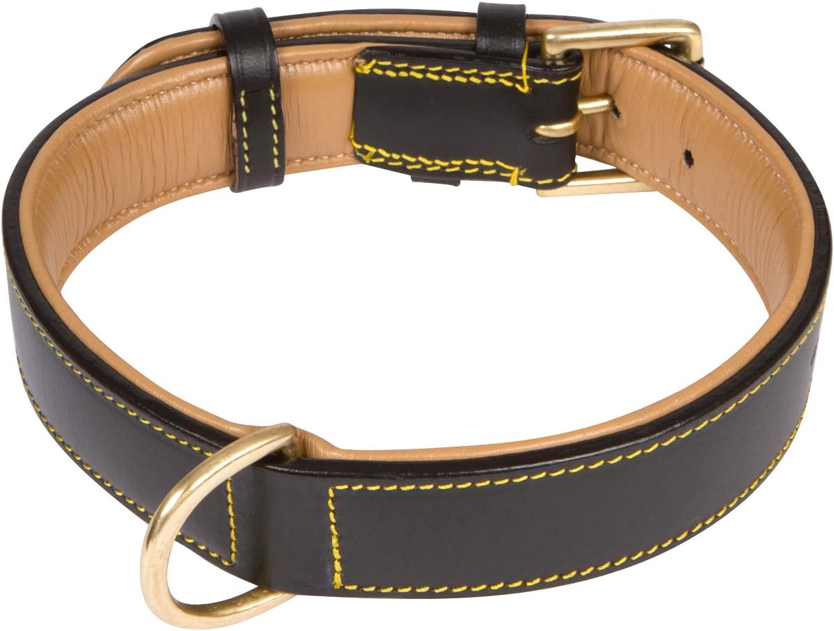 Soft Touch Collars Padded Leather Dog Collar, Large Brown - Genuine Real Leather, 24" Long x 1.5 Wide, Fits Neck Size 18" to 21" Inches