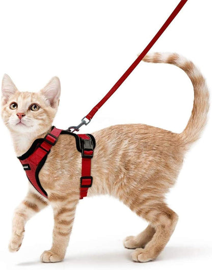 rabbitgoo Cat Harness and Leash for Walking, Escape Proof Soft Adjustable Vest Harnesses for Small Medium Cats, Easy Control Breathable Reflective Strips Jacket, XS, Black