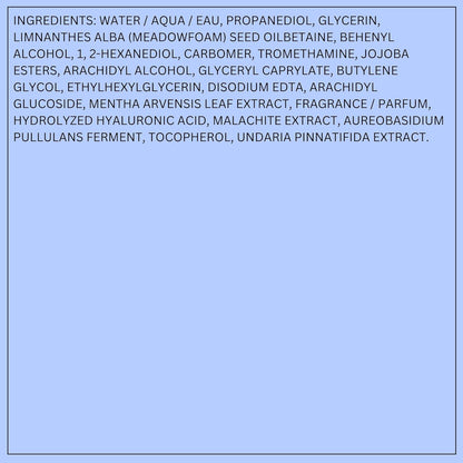 LANEIGE Water Bank Blue Hyaluronic Gel Moisturizer: Lightweight Hydrating Face Gel with Mint Extract, Hypoallergenic & Dermatologist-Tested