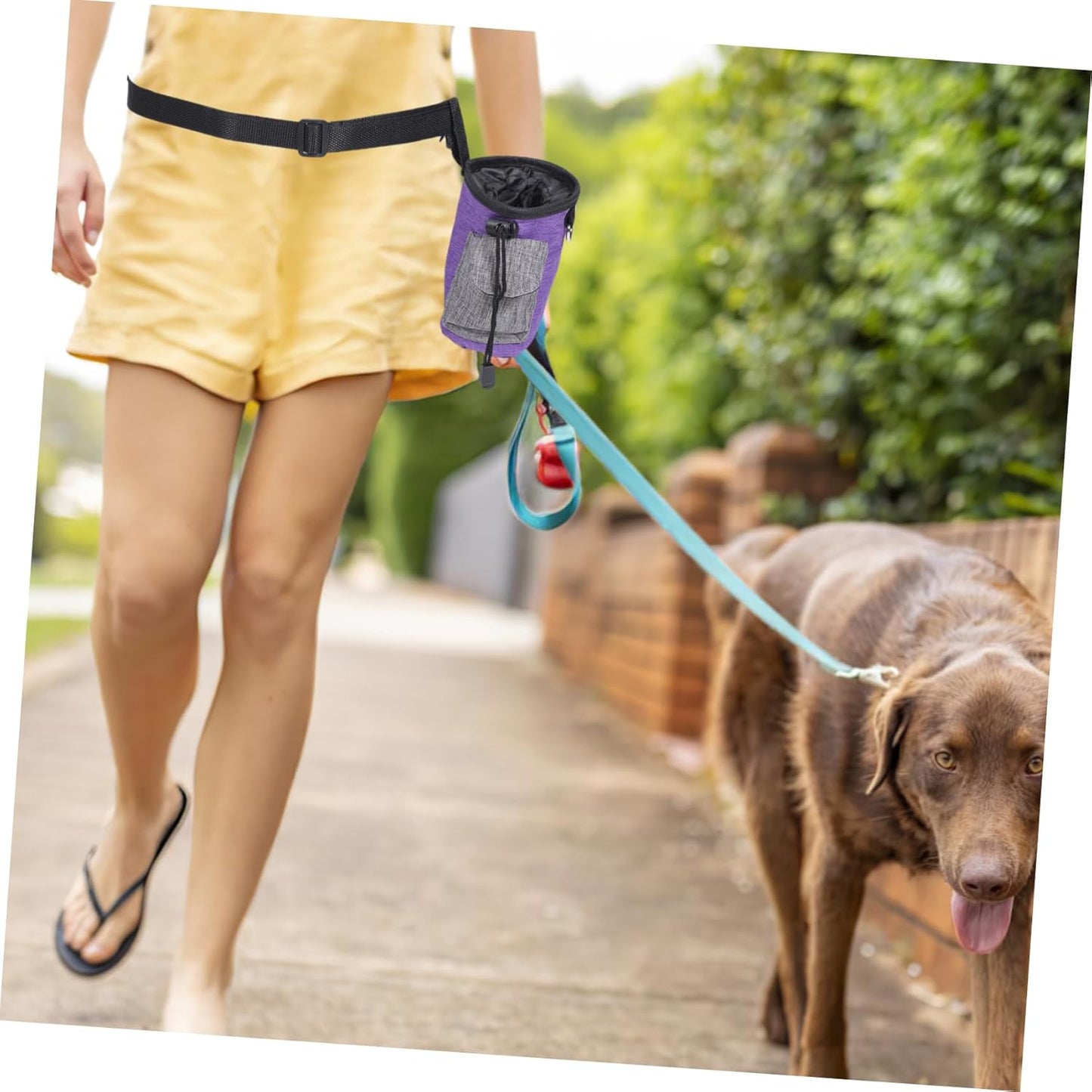 Kisangel Convenient Dog Treat Bag Portable Training Pouch for Dog Snacks Outdoor Walking Accessory