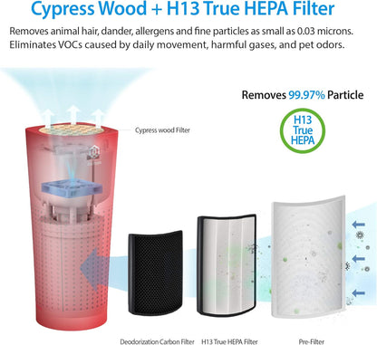 IMUNSEN M-003B Portable Air Purifier with Cypress Wood Filter, H13 True HEPA Filter, Captures Smoke, Odors, Mold, Allergens, USB Port 5V for Car, Desk and Office, Made in Korea – Black - PuriLite