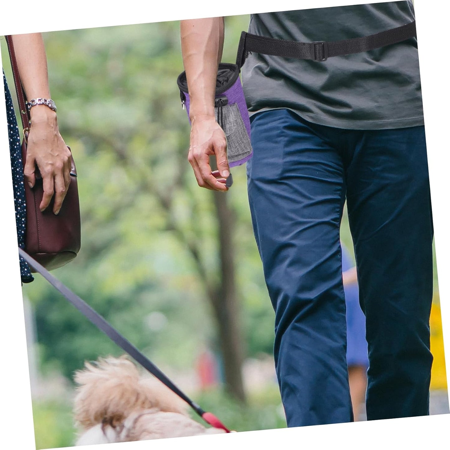 Kisangel Convenient Dog Treat Bag Portable Training Pouch for Dog Snacks Outdoor Walking Accessory