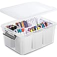 Purilite Select Multi-Partition Craft Storage Box with Flip-Top Lid