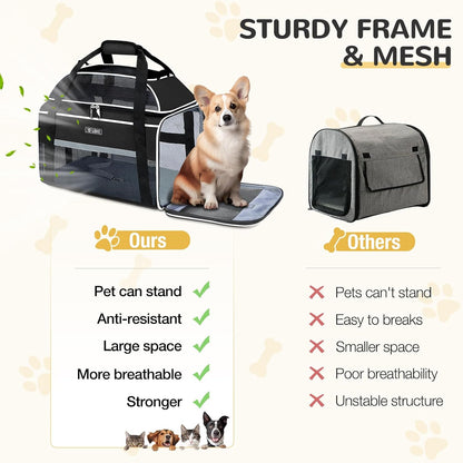 Lekereise Airline Approved Pet Carrier, Top-Expandable and Soft Sided Travel Cat Carrier for Small Cats & Dogs Up to 12lbs, 17x11x9.5 Inch, Black