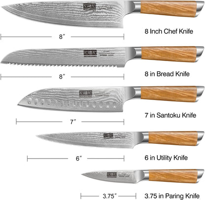 HOSHANHO Damascus Fillet Knife 7 Inch, Professional VG-10 Super Steel Boning Knife, Ultra Sharp Fish Knife with Ergonomic Handle