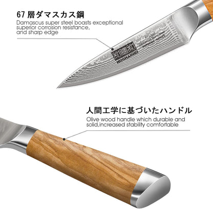 HOSHANHO Damascus Fillet Knife 7 Inch, Professional VG-10 Super Steel Boning Knife, Ultra Sharp Fish Knife with Ergonomic Handle