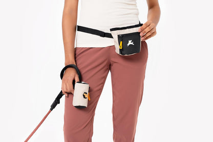OllyDog Goodie Treat Bag, Dog Treat Pouch, Waist Belt Clip for Hands-Free Training, Magnetic Closure, Dog Training and Behavior Aids, Three Ways to Wear (Raven S'25)