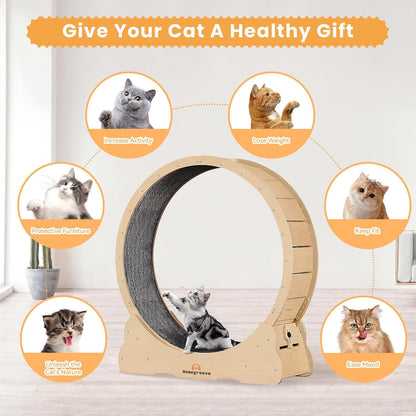 Homegroove Cat Wheel Treadmill, 46" XL Large Cat Exercise Running Wheel with Carpeted Runway, Fitness Weight Loss Device for Kitty’s Longer Life, Natural Wood Color(XL) |