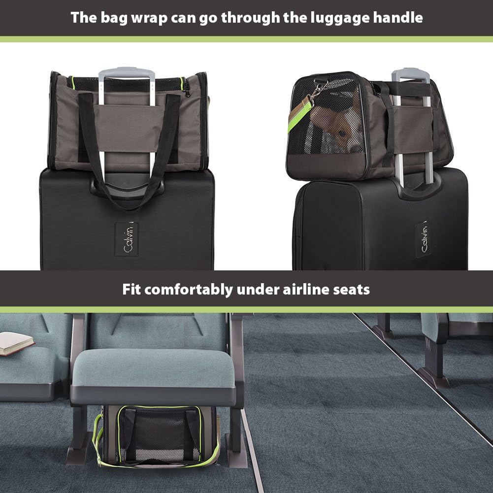 Aivituvin Dog Carrier Airline Approved Soft Sided Pet Carriers, Collapsible Travel Cat Carrier for Medium Cats and Puppies (Green Large)