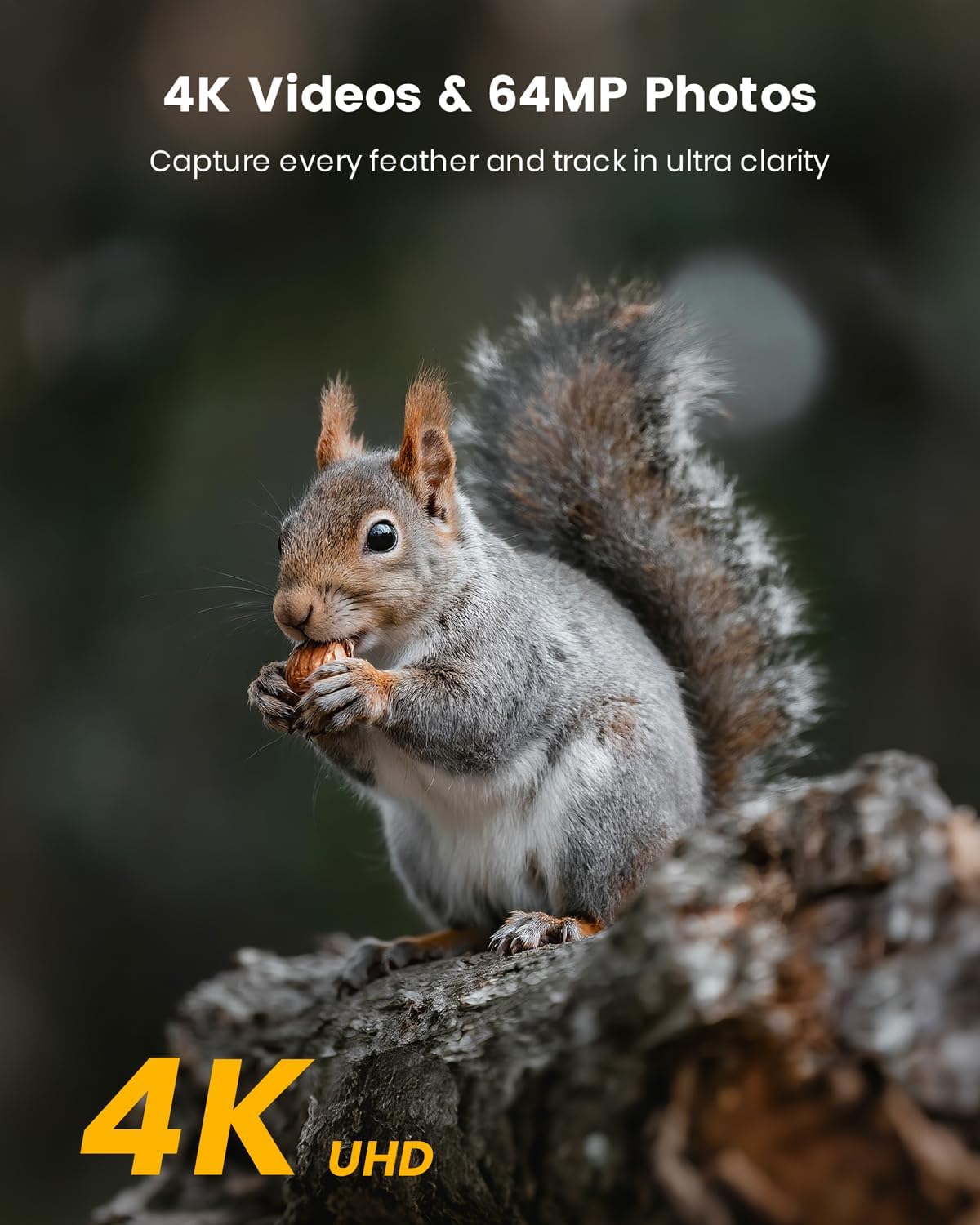 Misstech 4K UHD Solar Trail Camera for Game & Wildlife Monitoring - 0.1s Motion Trigger to Capture Fast Animals, 64MP/4K Clear Night Vision, Map Pin, App Control, IP66 Waterproof, 32GB SD Card