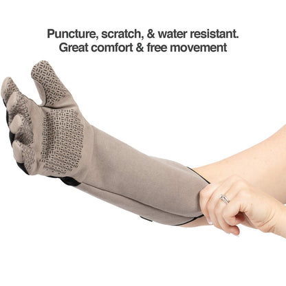 PetFusion Multipurpose Pet Glove for Grooming, Trips to Vet, Handling. [Puncture & Scratch Resistant, Water Resistant]. 12 Month Warranty for Manufacturer Defects, Grey, Large (PF-HG1A)
