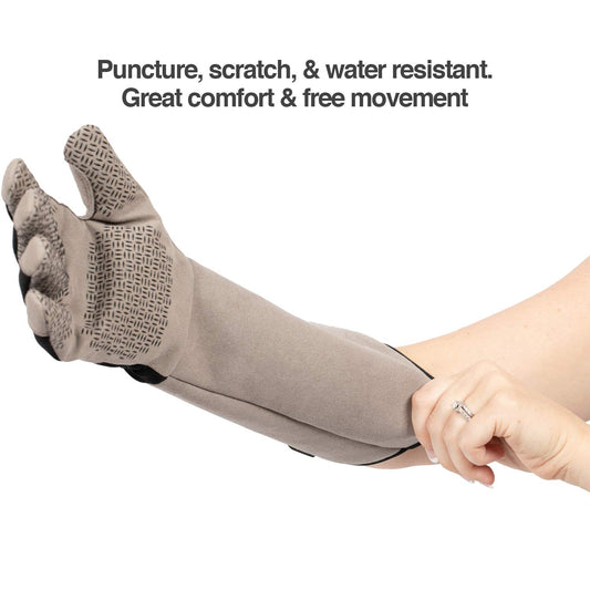 PetFusion Multipurpose Pet Glove for Grooming, Trips to Vet, Handling. [Puncture & Scratch Resistant, Water Resistant]. 12 Month Warranty for Manufacturer Defects, Grey, Large (PF-HG1A)