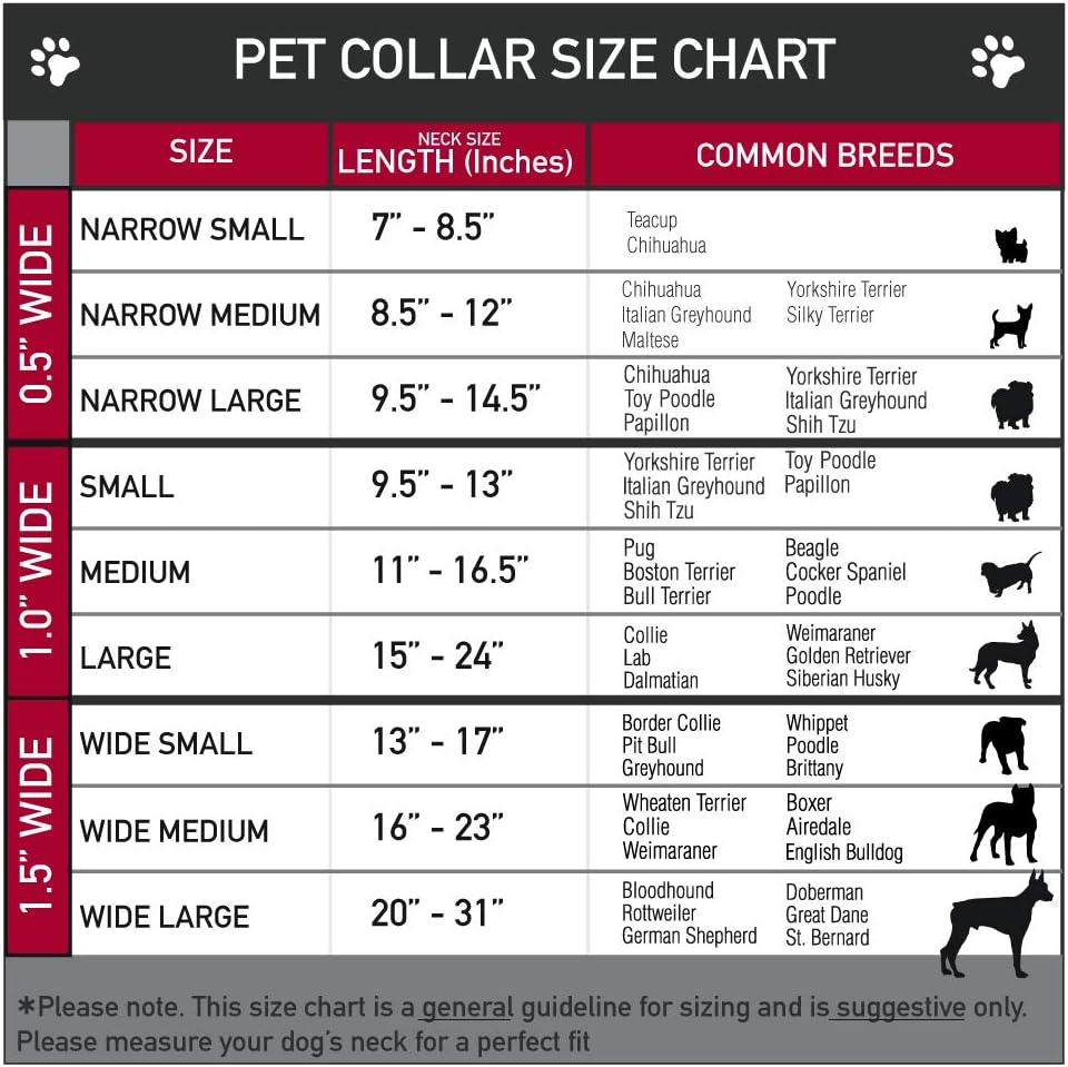 Buckle-Down PC-W21909-M Dog Collar Plastic Clip Buckle, 1"x11"-17", Star Black/White