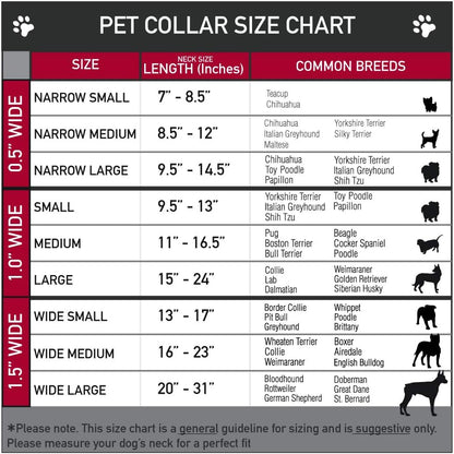 Buckle-Down PC-W21909-M Dog Collar Plastic Clip Buckle, 1"x11"-17", Star Black/White