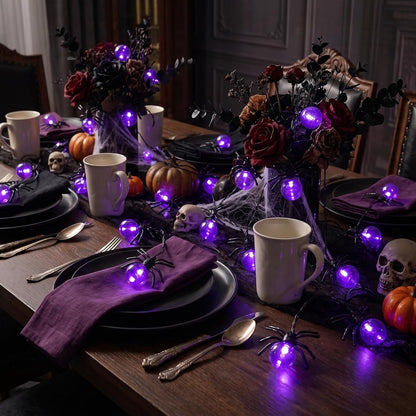 Halloween Lights Outdoor/Indoor,10FT 20LED Purple Spider String Lights