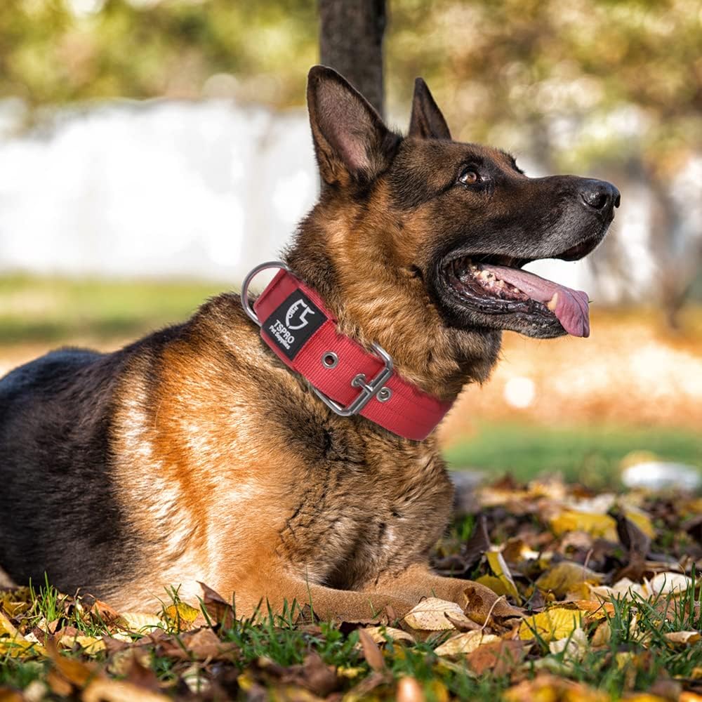 TSPRO Tactical Dog Collar 1.5 inch Wide Dog Collar Military Grade Strong Dog Collar Thick Dog Collar Heavy Duty Metal Buckle Dog Collar(Green-L)
