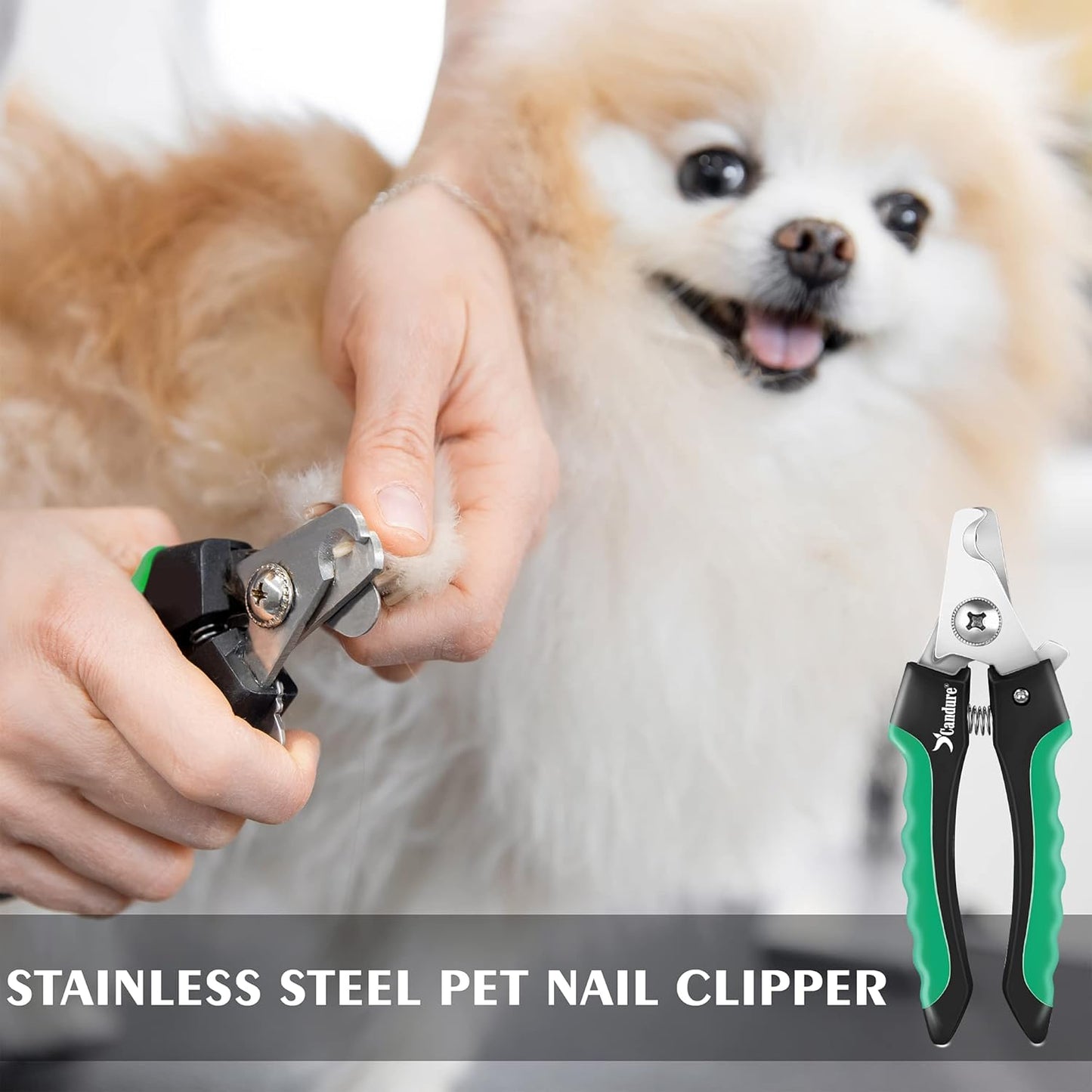 Candure Cat Nail Clippers Stainless Steel Cat Claw Trimmers for Rabbits,Guinea Pigs, Birds, Puppies, Kittens and Small Animals- Pet Nail Clippers for Professional and Home Use (Black)
