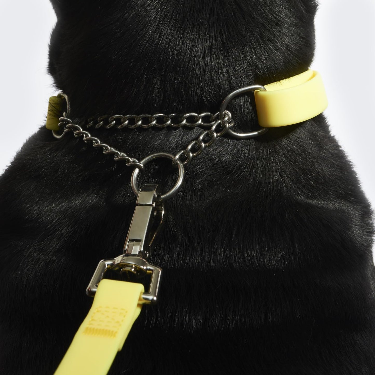 Fleuff Waterproof Martingale Dog Collar (Mellow Yellow, Medium)