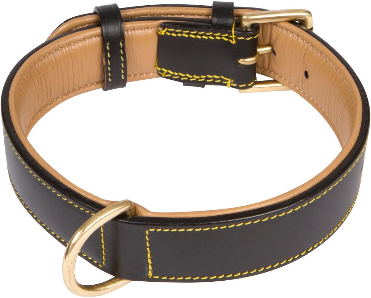Soft Touch Collars Padded Leather Dog Collar, Large Brown - Genuine Real Leather, 24" Long x 1.5 Wide, Fits Neck Size 18" to 21" Inches