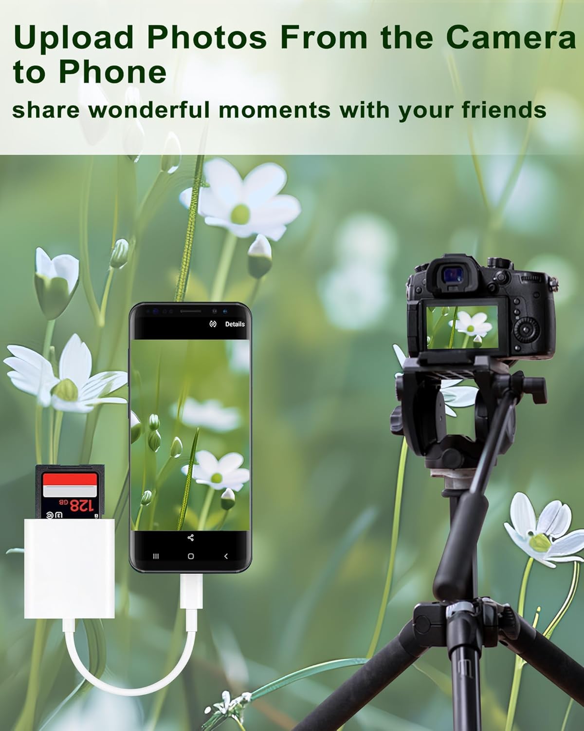 Lightning to Sd Card Reader for iPhone Camera, [Apple MFi Certified] Dual Card Slot Memory Card Readers Supports SD and TF Card, Plug and Play Sd Card Adapter Compatible with iPhone