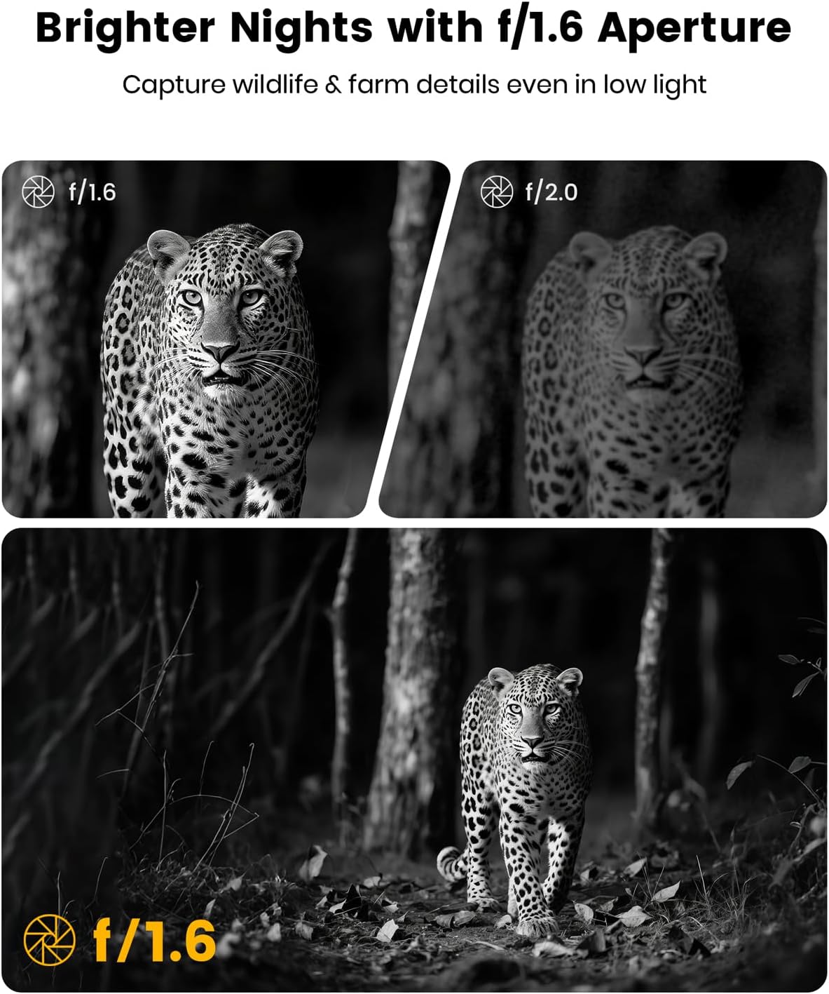 Misstech 4K UHD Solar Trail Camera for Game & Wildlife Monitoring - 0.1s Motion Trigger to Capture Fast Animals, 64MP/4K Clear Night Vision, Map Pin, App Control, IP66 Waterproof, 32GB SD Card
