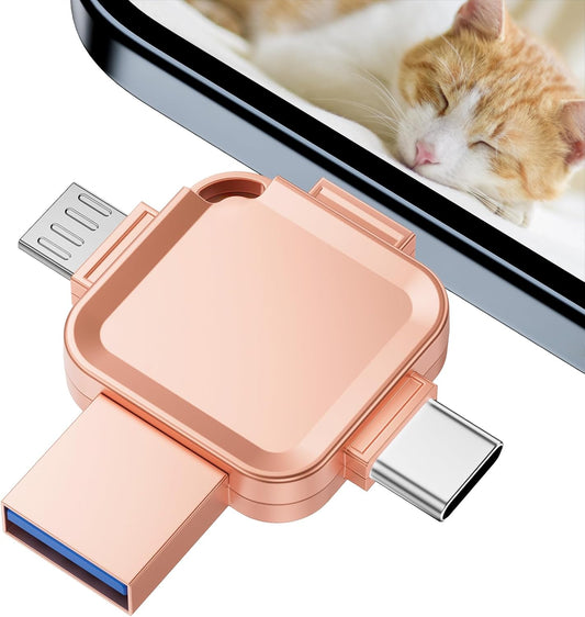 LANSLSY 256GB 4 in 1 Flash Drive for iPhone USB Flash Drive Memory Stick,Silver Photo Stick for iPhone/i- pad/Android/PC