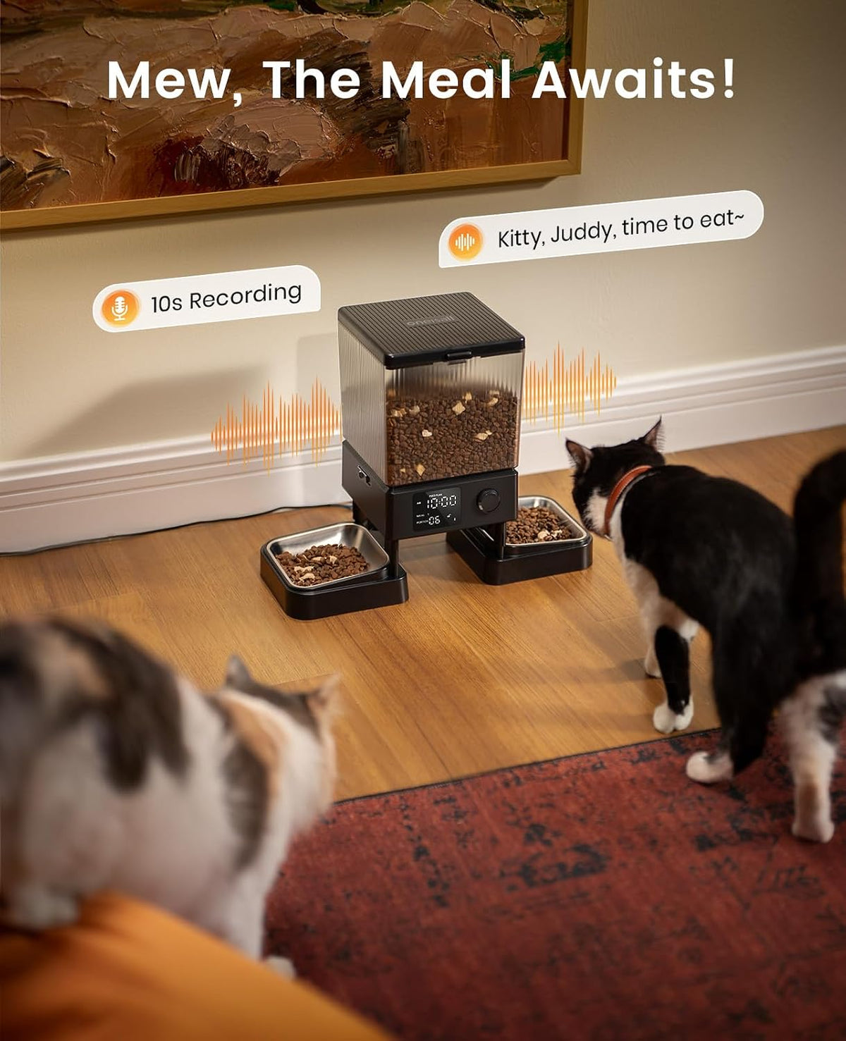 oneisall Automatic Cat Feeder for 2 Cats Pets, Timed Cat Food Dispenser