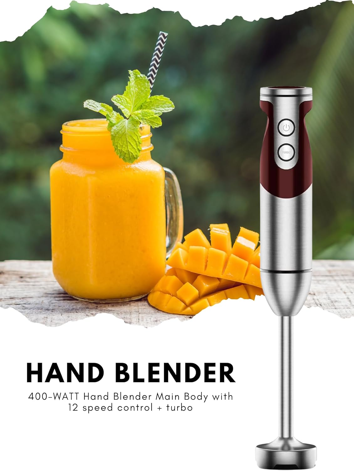 MEGAWISE new Hand Blender Series Only one Hand Blender,no attachments,12-Speed,Includes Powerful Blender Stick- Easy to Clean and Perfect for Smoothies, and More (Black)