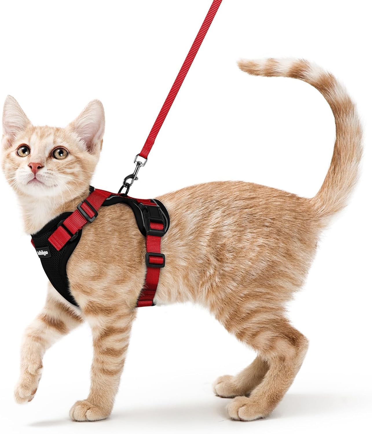 rabbitgoo Cat Harness and Leash for Walking, Escape Proof Soft Adjustable Vest Harnesses for Small Medium Cats, Easy Control Breathable Reflective Strips Jacket, XS, Black