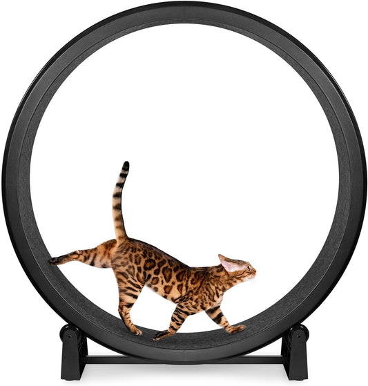 ONE FAST CAT - Cat Exercise Wheel - Gen. 7 - Safe 48" Diameter - Made in The USA - Black Wheel with Black Felt Traction Pads