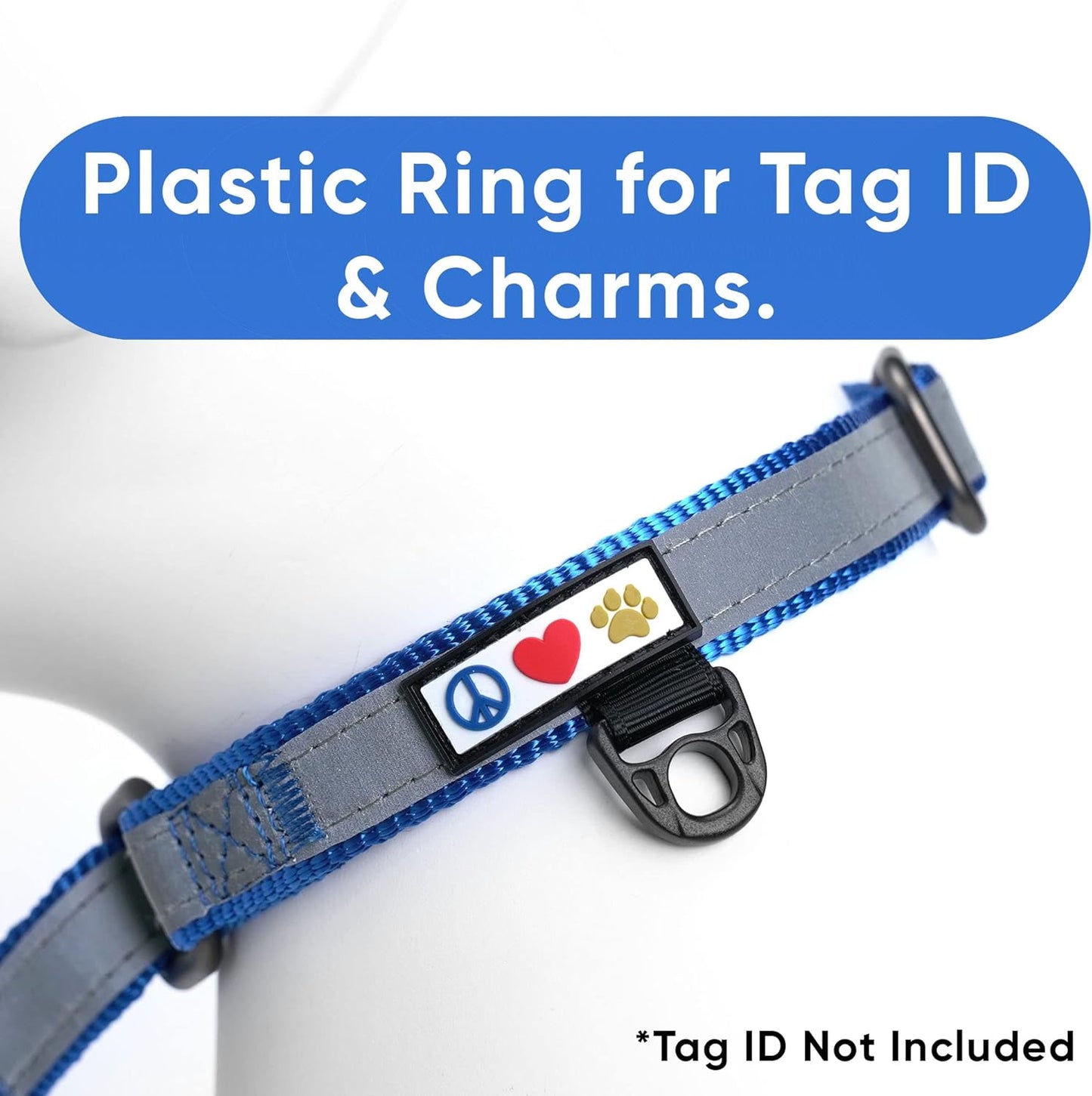 Pawtitas Chain Martingale Dog Collar Puppy Collar Reflective Dog Collar Training Dog Collar Behavioral Dog Chain Collar Collar Large Dog Collar Orange Dog Collar