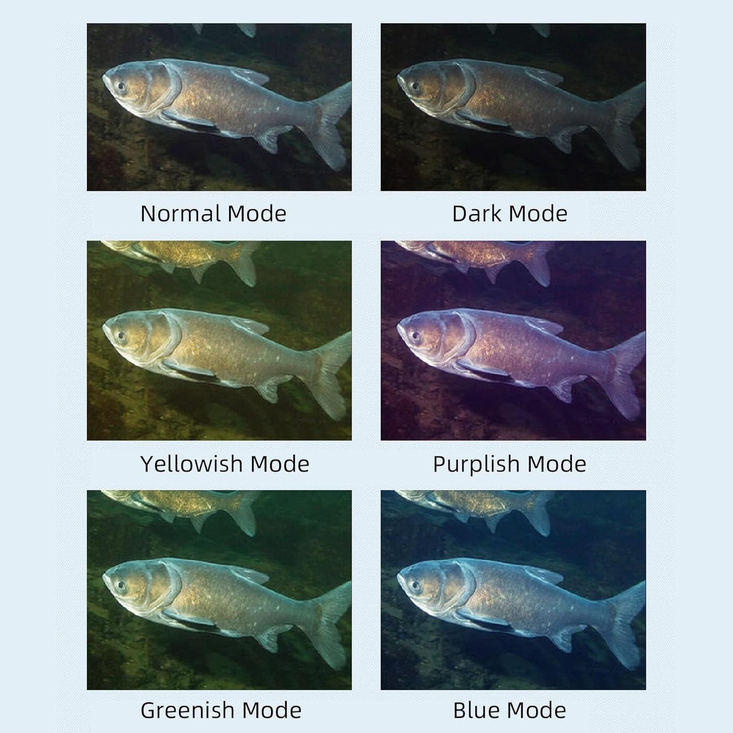 Fishing Camera Display Screen, 5.0 Inch HD IPS Large Screen, 3.5mm Video Interface, Professional Fishing Aid for Ice Lake Sea Boat Fishing