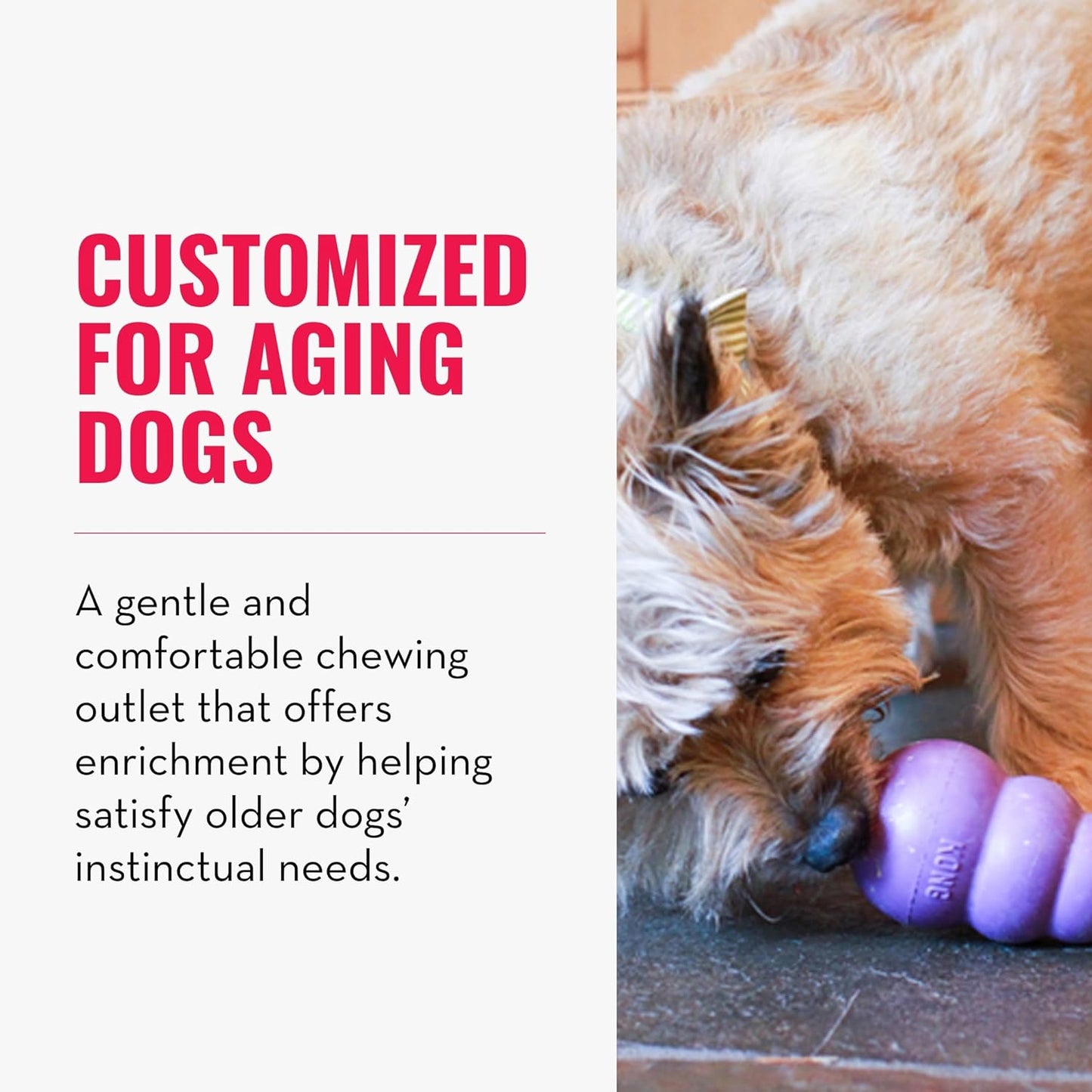 KONG Senior Dog Toy Gentle Natural Rubber -Fun to Chew, Chase & Fetch- For Medium Dogs