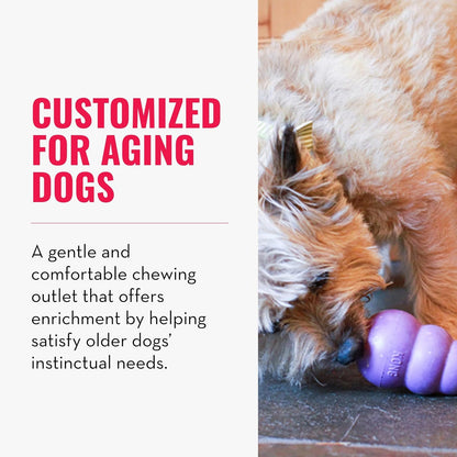 KONG Senior Dog Toy Gentle Natural Rubber -Fun to Chew, Chase & Fetch- For Medium Dogs