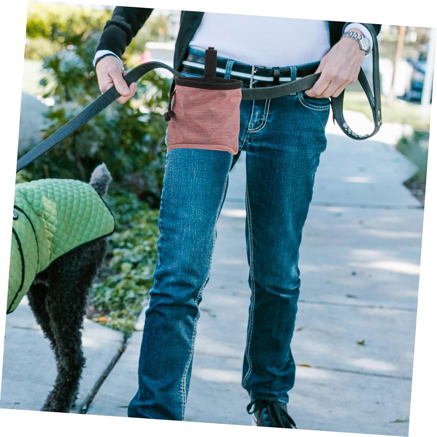 VERDANVERSE Treat Container for Puppy Training Treats Dog Walking Fanny Pack Easy Access to