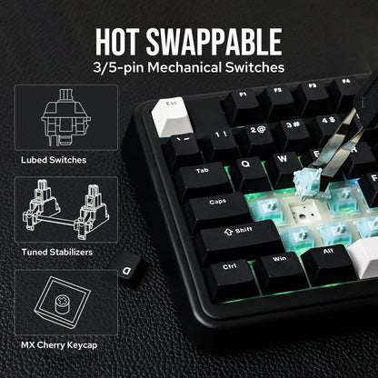 EPOMAKER TH99 Tri-Mode Wireless Mechanical Keyboard with 8000mAh Battery, Hot Swappable Custom RGB Gaming Keyboard with Numpad, Gasket Creamy for PC/Mac/Office (Blue&White)