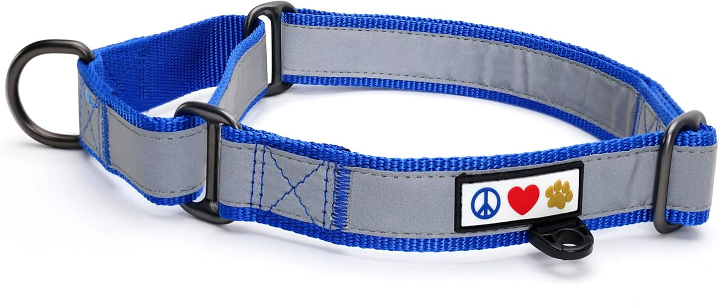 Pawtitas Chain Martingale Dog Collar Puppy Collar Reflective Dog Collar Training Dog Collar Behavioral Dog Chain Collar Collar Medium Dog Collar Green Dog Collar
