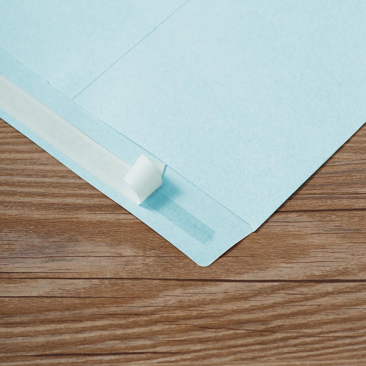 Tanshuqin 9" x 12.75" Self-Seal Catalog Envelopes 32lb Kraft Envelopes for Invitation Cards, Organizing and Storage, Pictures, Photos, Documents (100 PCS)