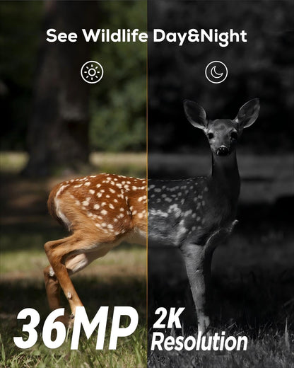 iZEEKER Trail Camera 2K HD 36MP, Trail Cameras with 940nm No Glow Infrared LEDs, No WiFi, Night Vision Motion Activated IP66 Waterproof for Wildlife Watching Indoor Security