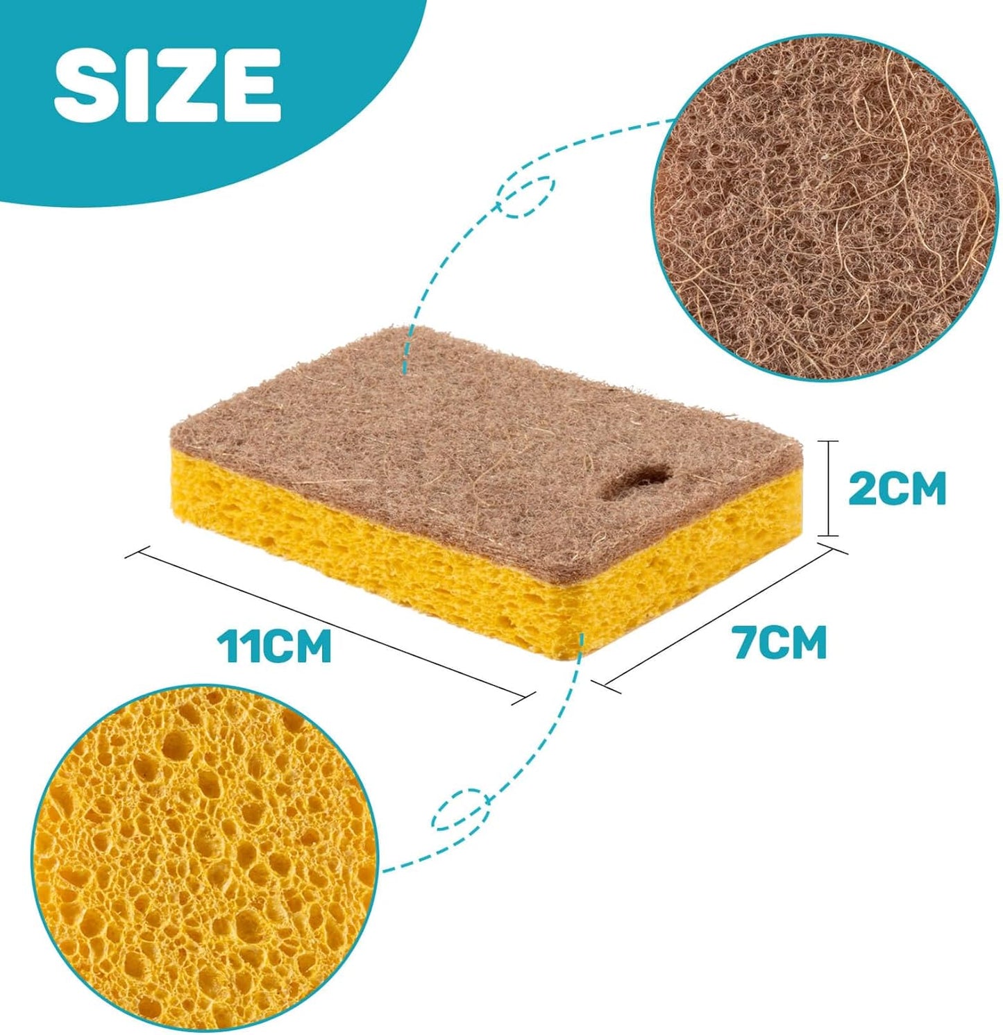 MAQIHAN 10PCS Natural Sponges for Dishes - Biodegradable Sponges Kitchen Eco Friendly Dish Sponge Non-Scratch Sponges for Cleaning Kitchen