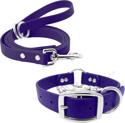Regal Dog Products Small Orange Waterproof Dog Collar and Leash Set - Vinyl Coated, Biothane Puppy Pet Training Collar with Heavy Duty Center Ring & 5'ft Leash - Other Sizes for Medium & Large Dogs