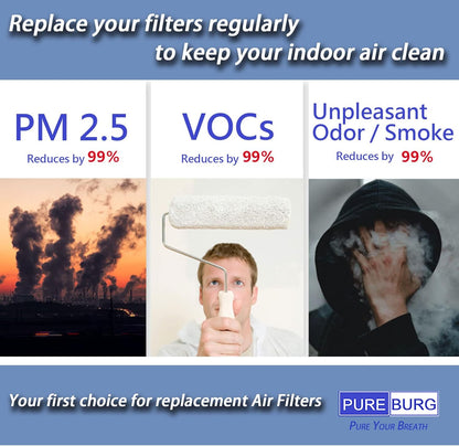 PUREBURG Replacement Filter Compatible with LUFTRUM C401 Car Air Purifier,2-Pack H13 True HEPA 3-Stage Filtration Activated Carbon 2-in-1 - PuriLite
