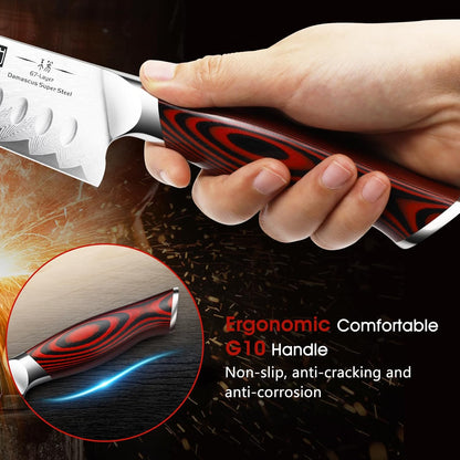 HOSHANHO Fillet Knife 7 Inch, Damascus Steel Boning Knife, Professional Fish Fillet Knife for Meat Chicken Cutting, Meat Knife with G10 Ergonomic Handle