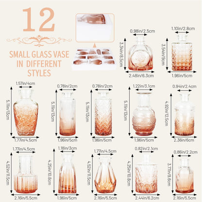 Sawoake Mini Bud Vases As Wedding Centerpieces for Tables,Clear Bud Vases for Flowers,Small Flower Vases Suitable for Birthday Party,Anniversary,Wedding Reception,Baby Shower (Clear-12PCS)