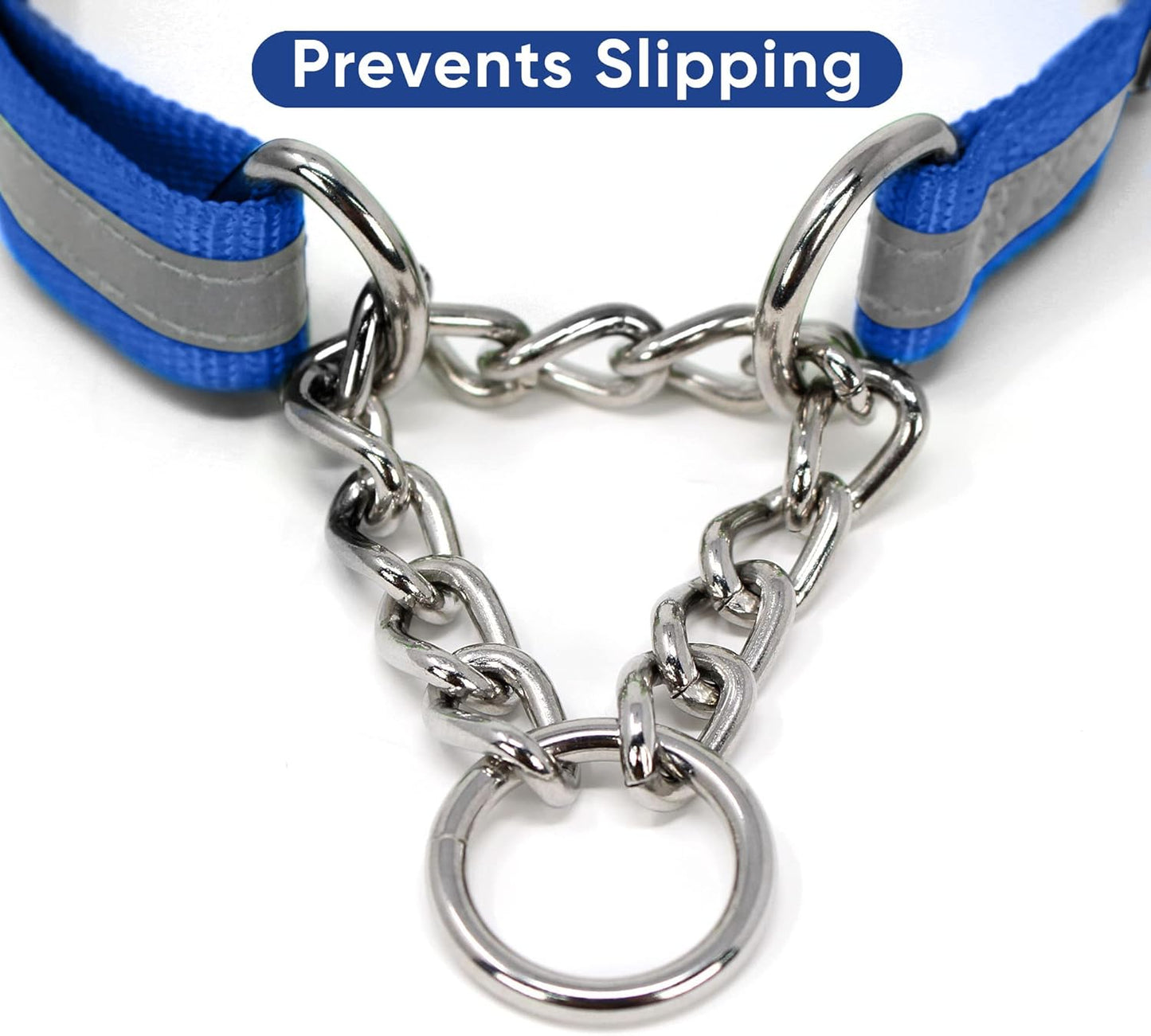 Pawtitas Chain Martingale Dog Collar Puppy Collar Reflective Dog Collar Training Dog Collar Behavioral Dog Chain Collar Collar Medium Dog Collar Green Dog Collar