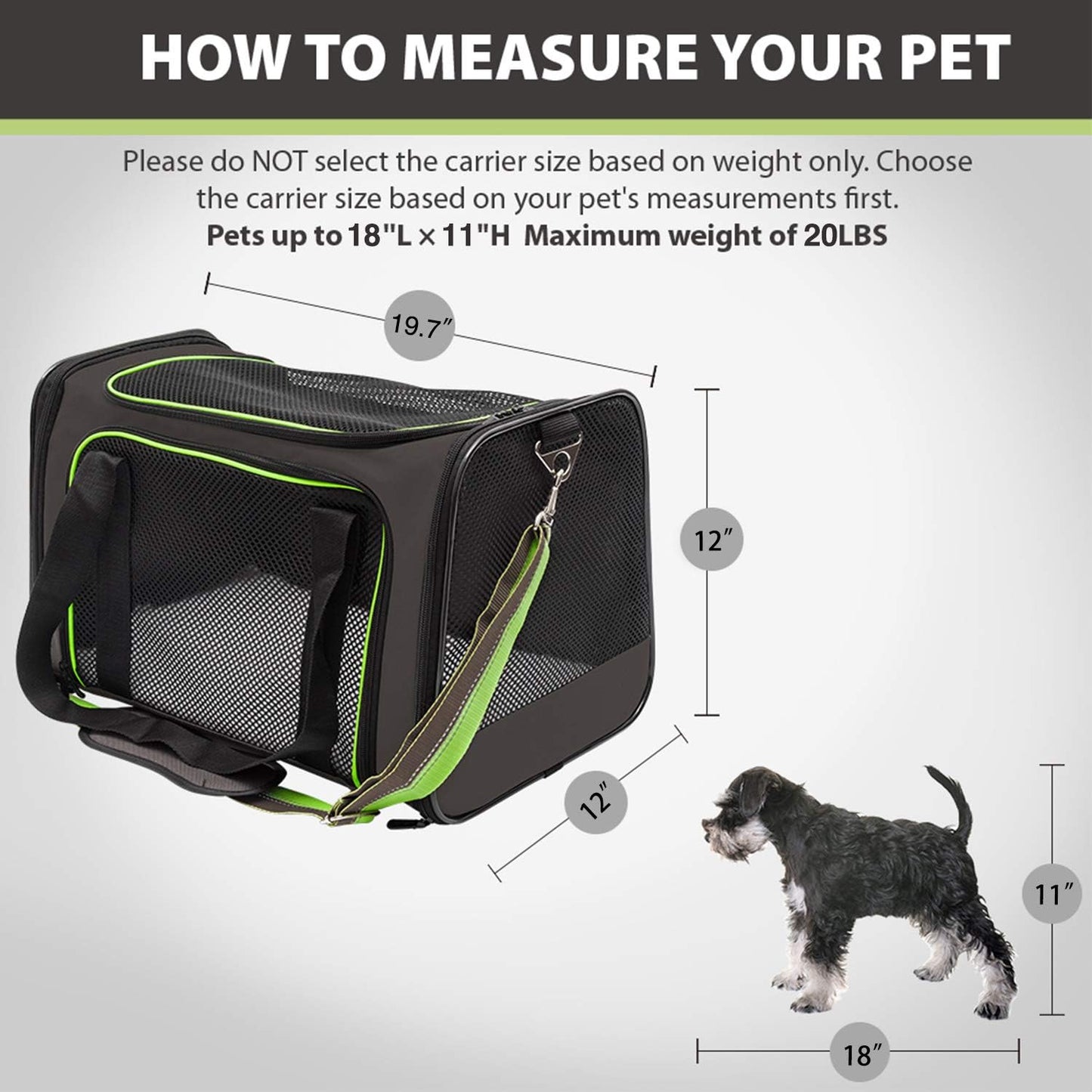 Aivituvin Dog Carrier Airline Approved Soft Sided Pet Carriers, Collapsible Travel Cat Carrier for Medium Cats and Puppies (Green Large)