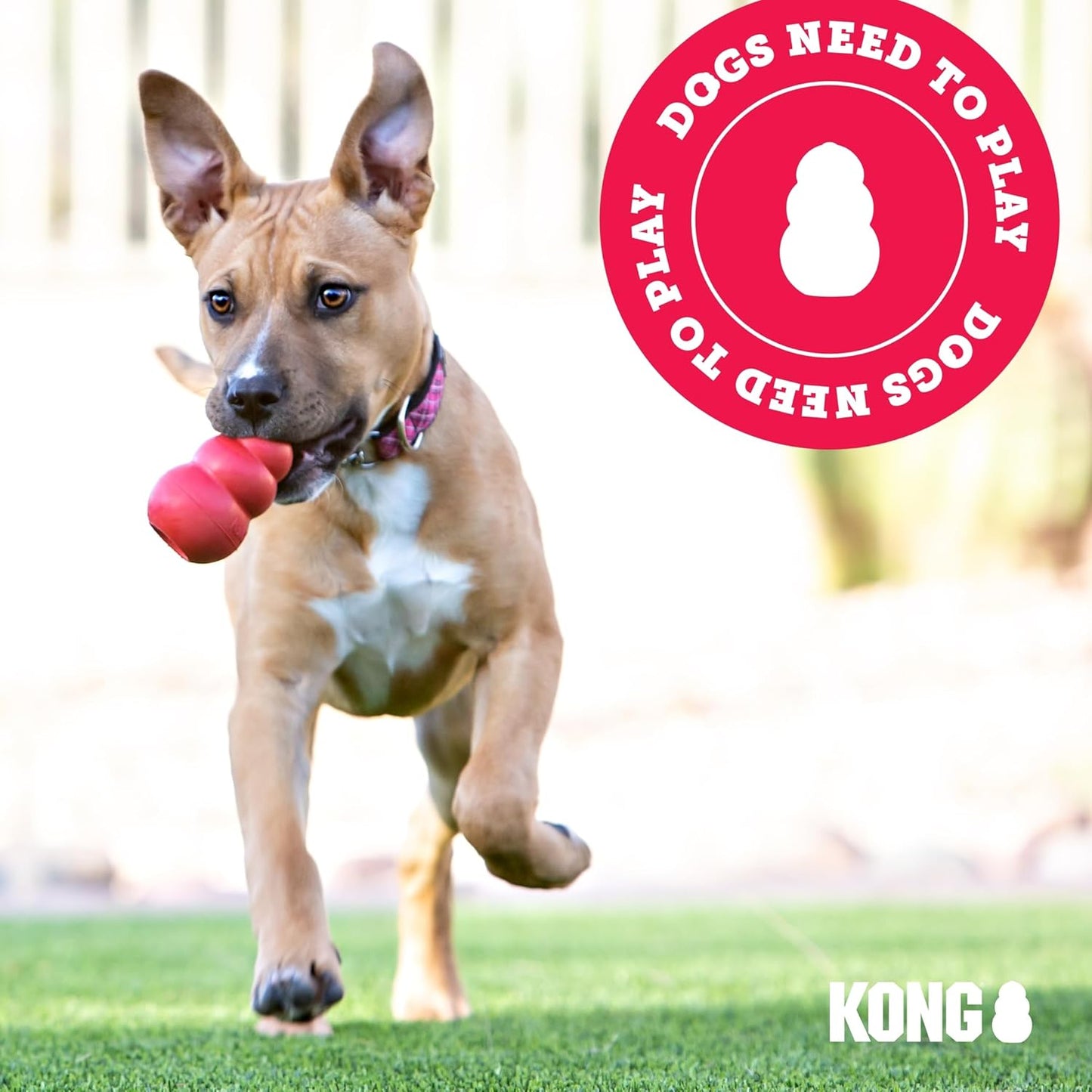 KONG Senior Dog Toy Gentle Natural Rubber -Fun to Chew, Chase & Fetch- For Medium Dogs